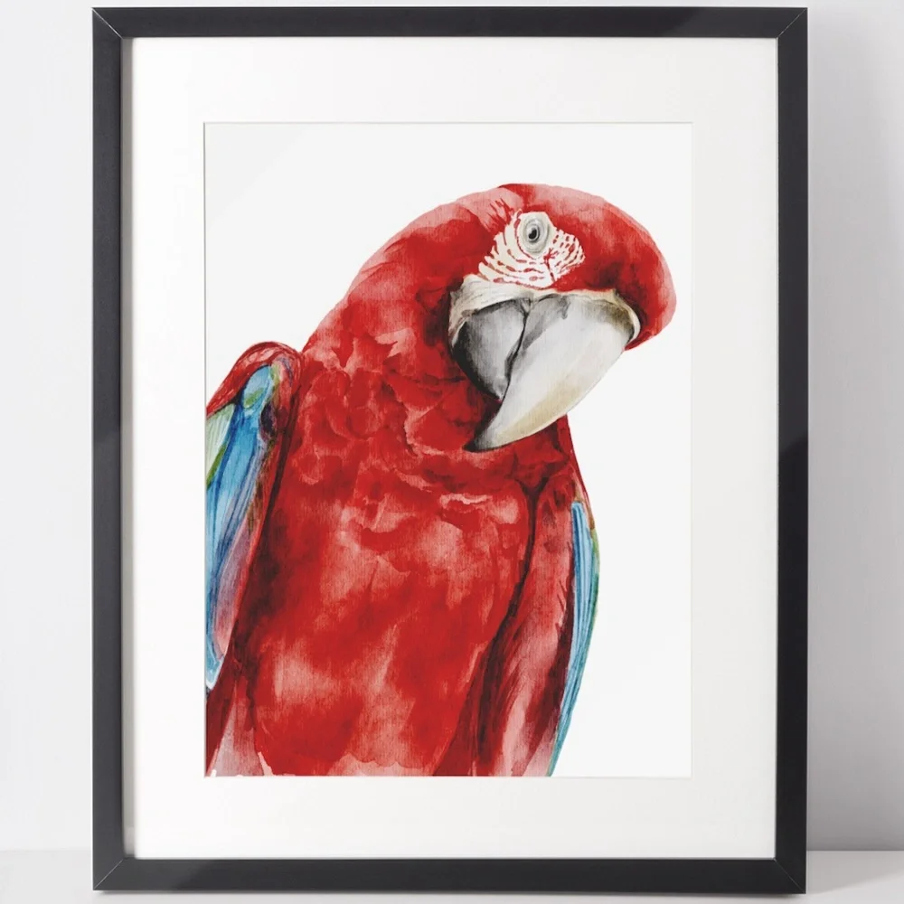 Red Macaw Parrot Watercolor Wall Art Print Poster Unframed - Picture 2 of 9